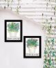 "Succulents-Dream & Believe" 2-Piece Vignette by Cindy Jacobs; Ready to Hang Framed Print; Black Frame