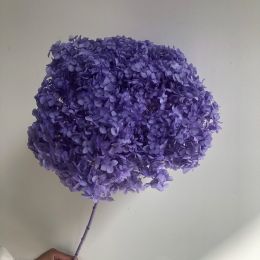 DIY Living Room Table Decoration Decoration Decoration Yongsheng Flower (Option: Violet-20 25cm)